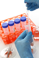 cultured meat making image, lab grown meat concept