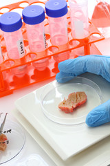 cultured meat making image, lab grown meat concept