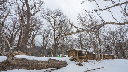 Natural Scenery With Snow Landscape