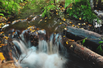 Smooth stream flowing creek in the autumn forest
