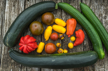Different types of tomatoes, zucchini and cucumbers with different colors lie on old leaves of a zucchini plant. Concept: healthy eating