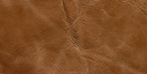 photo skin texture brown shade