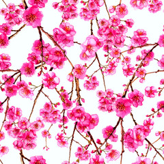 Watercolor sakura japan cherry branch . Blooming flowers. Spring pink design wallpaper, poster, background, cover, fabric, textile.
