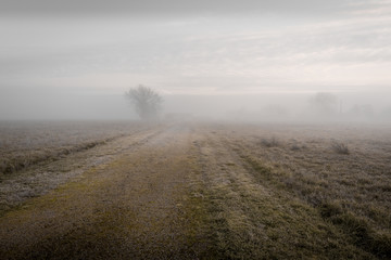 Journée de brouillard dans le Tarn
