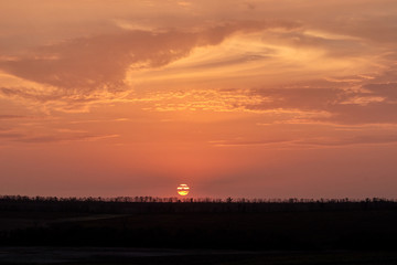 Orange-red sunset and landscape with raw of trees. Sun is cut across by clouds
