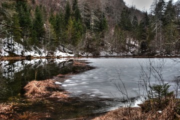 Osttirol, Tristach, Amlach, Lienz, See, Alter See, Tristacher See, Tristachersee, Biotop,...