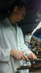 Working people at production line in modern factory