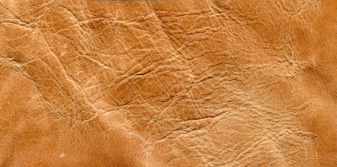 photo skin texture brown shade
