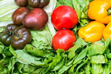 tomatoes and peppers on salad leaves