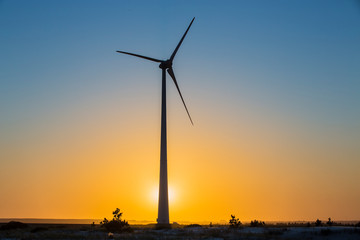 wind turbines at sunset / PARQUE EÓLICO NOVA TRAMANDAÍ RIO GRANDE DO SUL