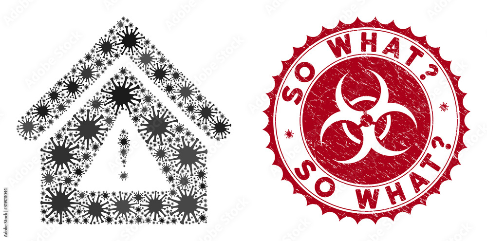 Poster coronavirus mosaic warning building icon and round grunge stamp watermark with so what? caption. mos