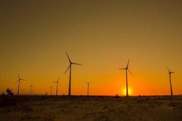 wind turbines at sunset / PARQUE EÓLICO NOVA TRAMANDAÍ RIO GRANDE DO SUL