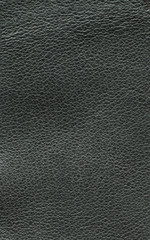 photo skin texture dark shade