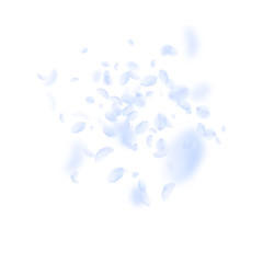 Light blue flower petals falling down. Fantastic r