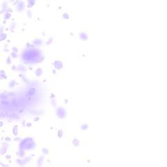 Violet flower petals falling down. Breathtaking ro