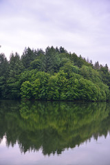 Forest reflection in the lake