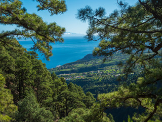 Fototapeta na wymiar View on beautiful lush lanscape from hiking trail Barranco de la Madera with pine tree forest, villages, fields, sea and blue sky. La Palma Island, Canary Islands, Spain