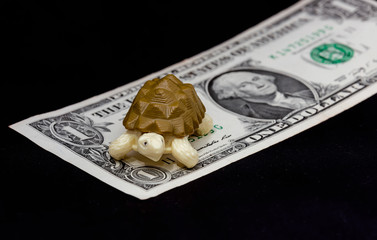 Toy turtle on dollar bill