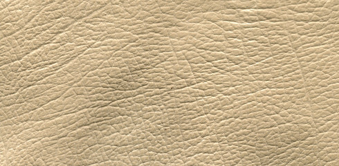 photo skin texture light shade