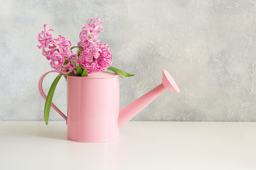 Decorative watering can with pink hyacinths. Gardening. - obrazy, fototapety, plakaty