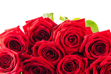 Close up bouquet of red roses on a white background for Valentines day. Isolated on white.