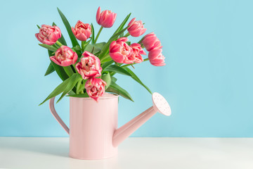 Decorative watering can with pink tulips. Gardening concept.