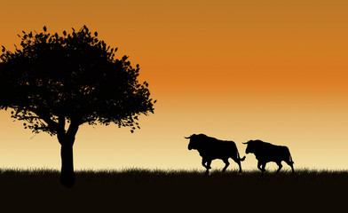 Toros con cielo anaranjado y árbol. Ilustración.