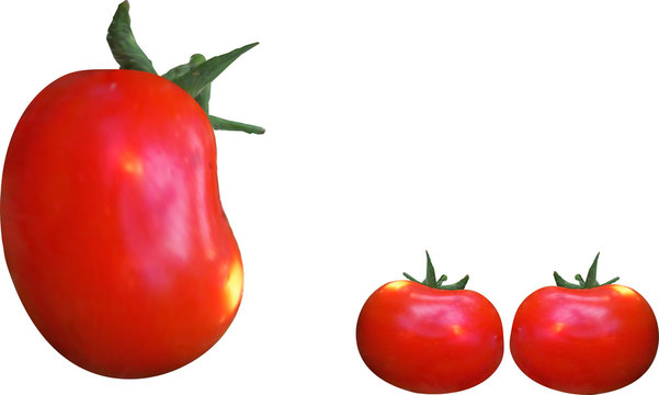 Photorealistic red tomato with a yellow speck on its side and a green root. Vegetable Isolated On A White Background.
