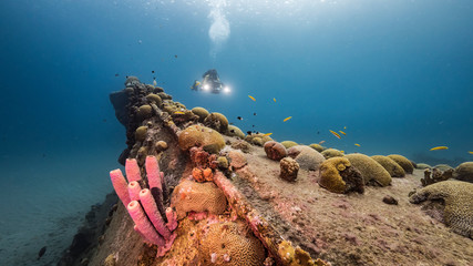 Diver and ship wreck 