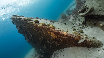 Ship wreck 