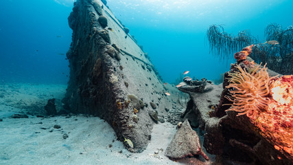 Ship wreck 