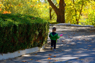 Fototapeta premium little boy walks in the autumn park. beauty in nature