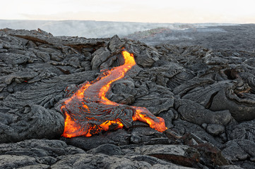 Active lava flow on Hawaii, magma emerges from a fissure, slowly cooling and solidifying in various patterns, morning light, depth effect - Location: Hawaii, Big Island, Kilauea, Puna district
