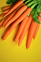 Manojo de zanahorias sobre fondo amarillo