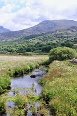 Fototapeta na wymiar River and mountains landscape in Wales
