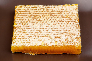 Fresh honeycomb on a gray background. vitamin and healthy natural foods