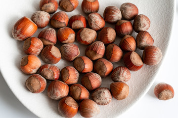 hazelnuts, hazelnuts in shells, hazelnuts on a white backdrop, hazelnuts on white plate