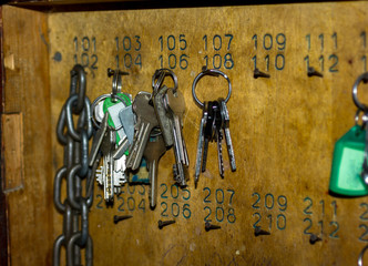 a bunch of different keys hang on the carnations in the key holder with numbers