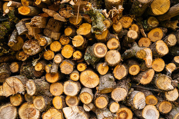 A pile of stacked firewood. Deforestation background