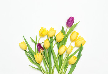 Tulip flowers Spring yellow purple bouquet white background