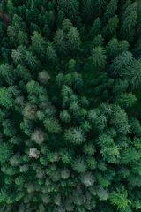 Foto op Aluminium Texture of forest view from above, Aerial top view forest, Panoramic photo over the tops of pine forest © vladim_ka