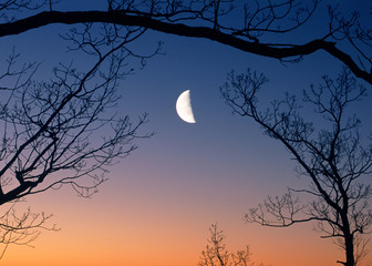 Moon and Sunrise
