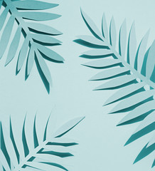 Paper tropical plants leaves on the blue background. Summer concept Top view
