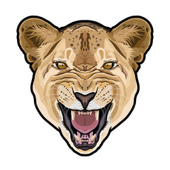 Lioness animal cute face. Vector African wild lion cat head portrait.