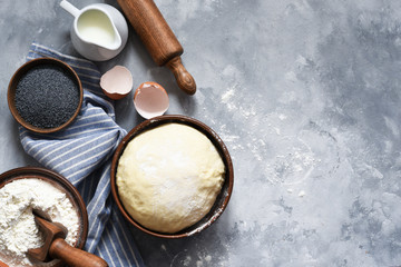 Ingridintny for baking: dough, flour, milk. Cooking process.