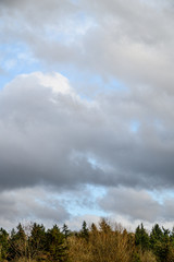 Fototapeta premium Late afternoon blue sky with white and gray clouds, above a tree covered hillside, as a nature background