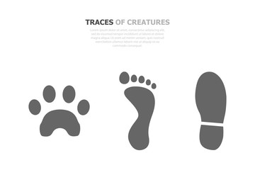 Three different tracks are depicted on a white background and text written on the top