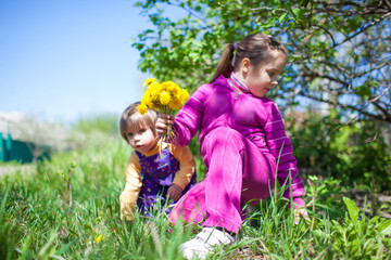 Girl in pink costume sitting on grass and collecting blooming yellow dandelion flowers on green nature on summer sunny clear day. Happy childhood concept