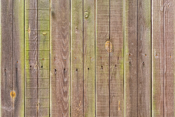 Smooth vertical brown-green boards. The structure of the wooden fence. Background for sites and layouts.