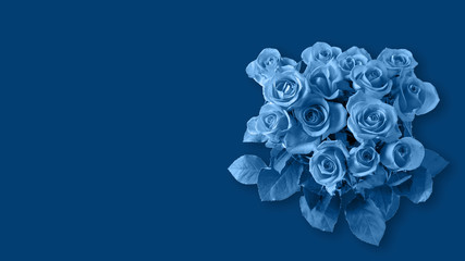 Abstract background with  bouquet of fresh roses toned in trendy classic blue color 2020